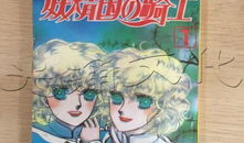 妖精国骑士漫画,奇幻冒险之旅