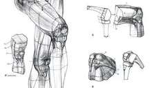 漫画男生腿,漫画中男生腿部线条的完美演绎